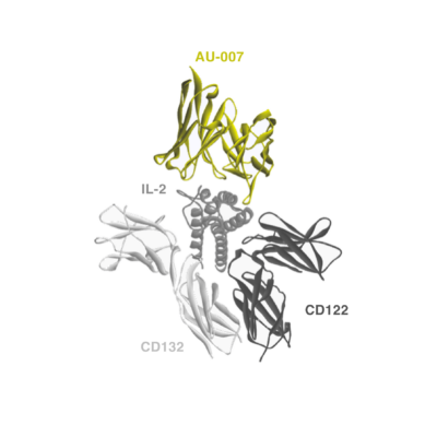 Aulos’ lead antibody AU-007